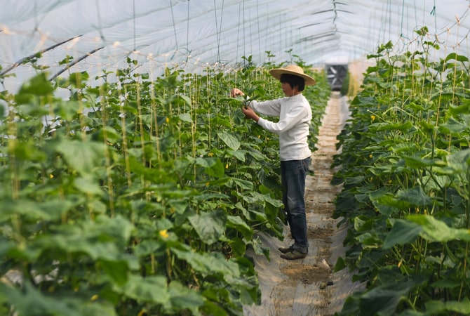 葉面積儀為廣大農業工作者添助力